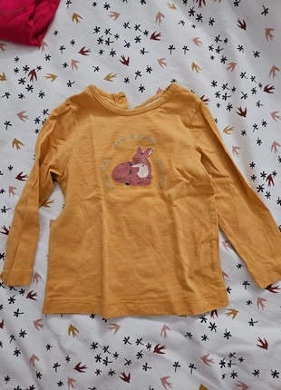 Tee-shirt ML avec inscription " Jolie Bichette " , marque: Du Pareil au Même, état: Très bon état, taille: 18-24 mois / 86 cm, 2,00 €, 2,80 € Protection acheteurs incluse