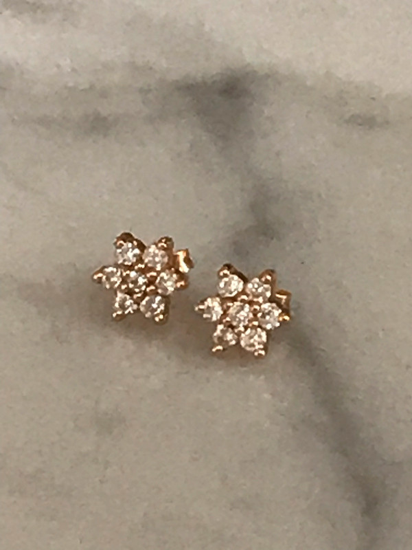 Ginette NY Diamond Star Earrings Vinted