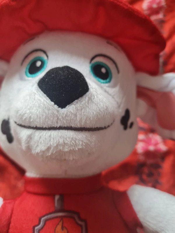 Paw patrol light up teddy shop