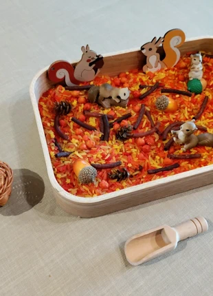 Sensorische tray Herfst / Eekhoorns, marque: Sensory, état: Neuf sans étiquette, taille: 3 ans / 98 cm, 21,00 €, 22,75 € Protection acheteurs incluse