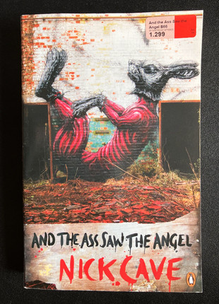 Obrázek k inzerátu: Nick Cave książka "And the ass saw the angel"