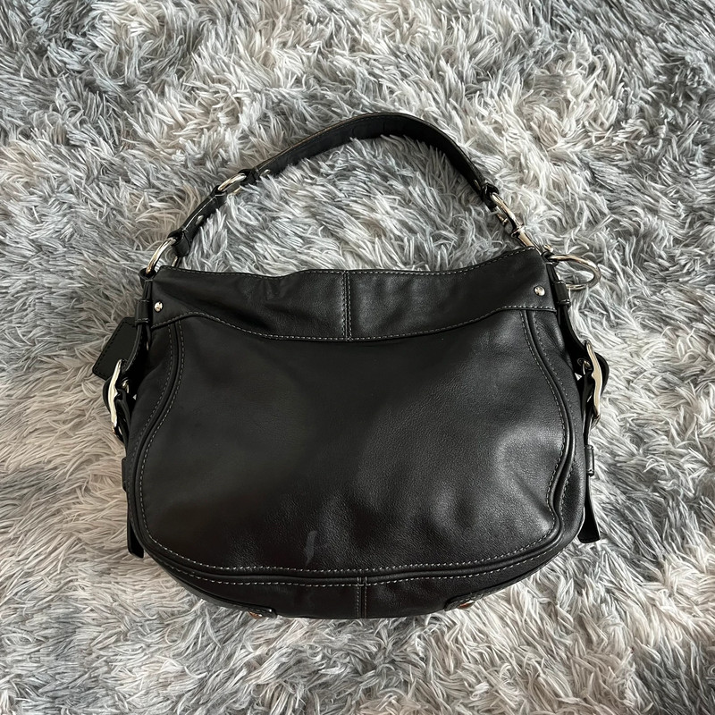 Coach lth zoe carryall sale