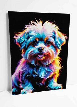 Yorkshire, brand: irysia, condition: Very good, €59.90, €63.60 includes Buyer Protection Pro