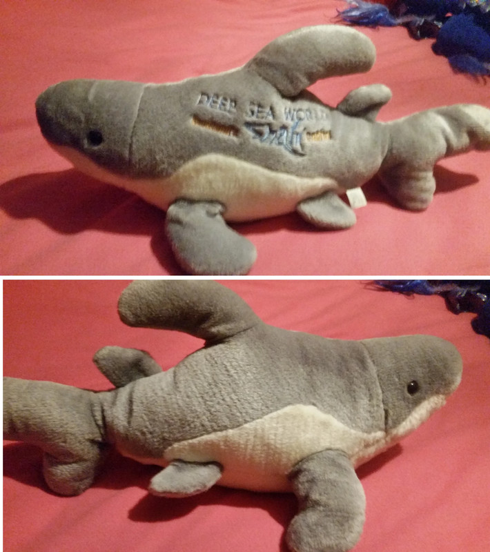 Webkinz shark online