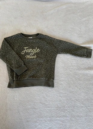Pull Jungle Mood 5 ans TAO, merk: TAO, staat: Goed, maat: 5 jaar / 110 cm, € 4,00, € 4,90 inclusief Kopersbescherming