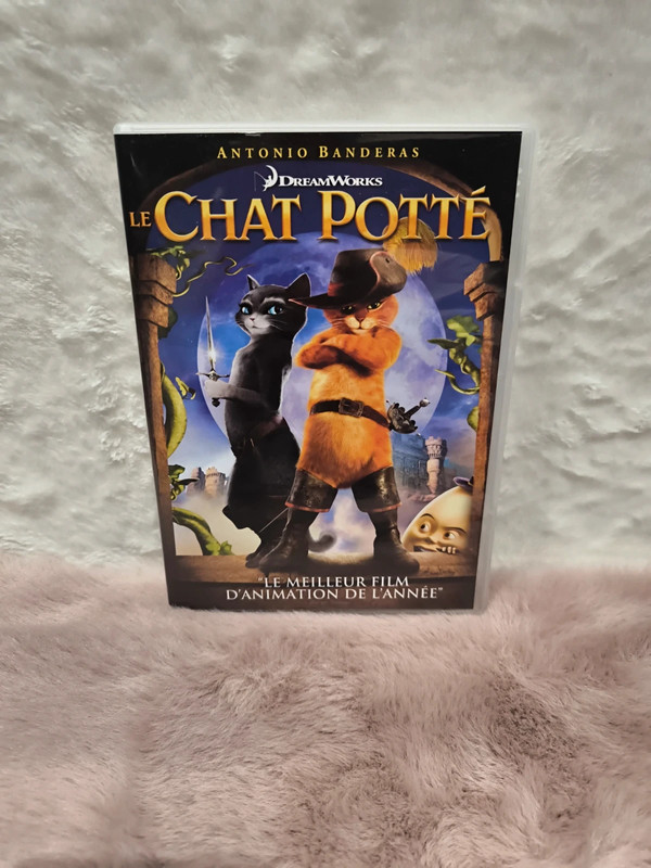 Le chat Potté le meilleur film d'animation de l'année 1