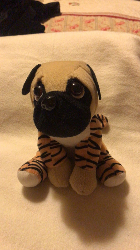 Perro peluche ojos discount grandes