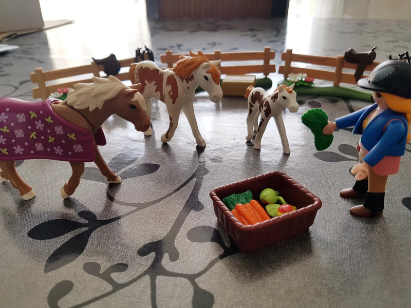 Playmobil - Chevaux et enclos