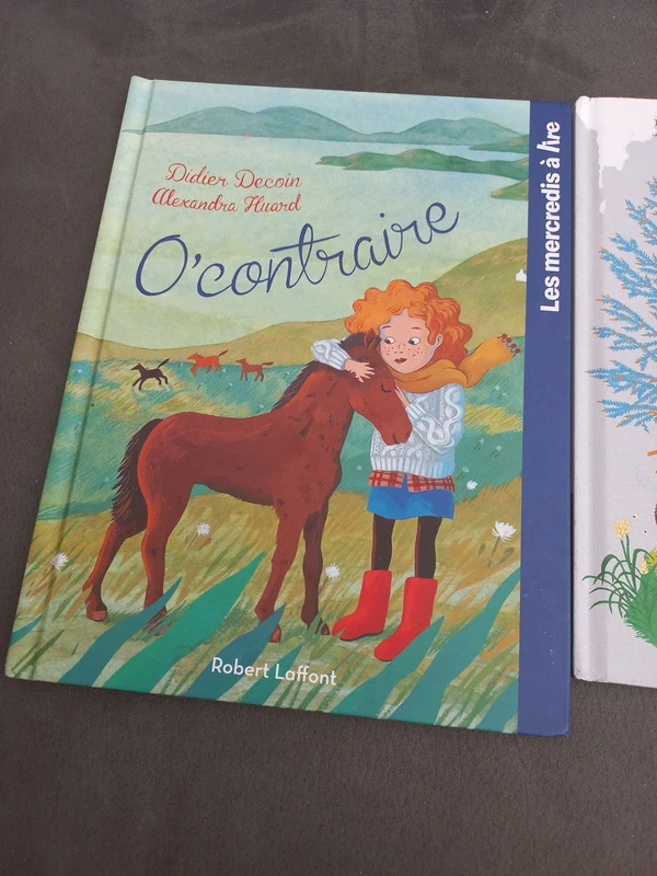 Lot 2 livres les mercredi à lire la danse de l'ours et o'contrairr - photo numéro 3