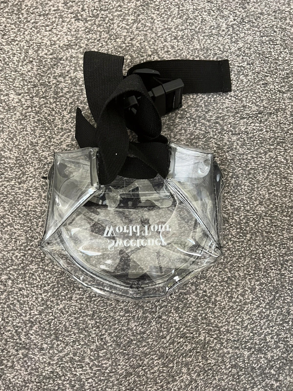 Ariana Grande Sweetener Bag - Vinted