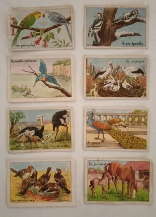 Lot d’images – Éditions Éducatives, Paris – Série A, état: Bon état, 4,50 €, 5,43 € Protection acheteurs incluse