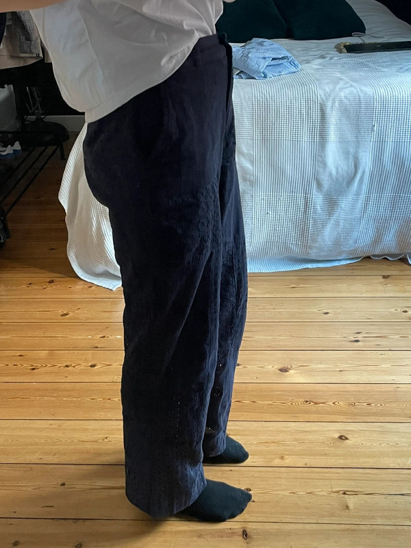 Pantalon brodé zara 2