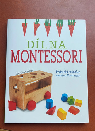 Obrázek k inzerátu: Dílna montessori