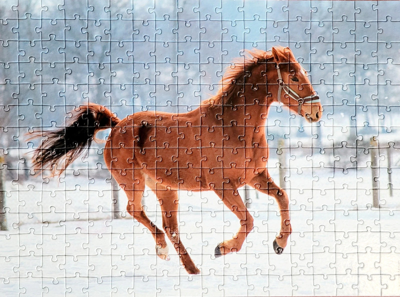 Puzzle cheval 2