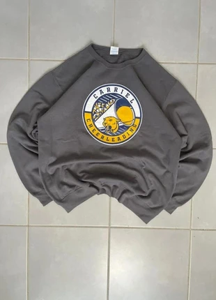 Sweat homme Port & Company vintage sport US taille L couleur gris 50% coton, brand: Vintage Dressing, condition: Very good, size: L, €14.99, €16.44 includes Buyer Protection Pro