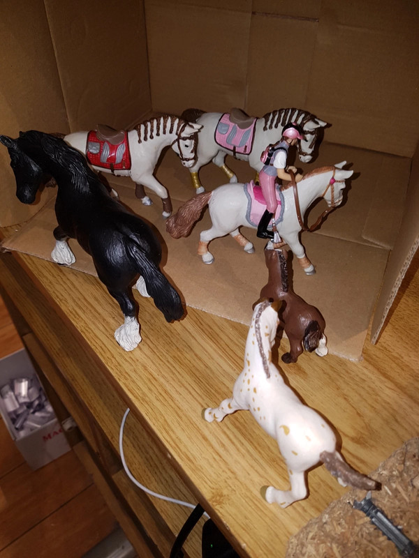 Lot de 4 figurines cheval -enfant- PAPO