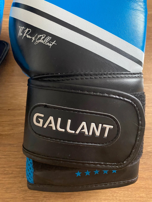 Gallant boxing gloves shop