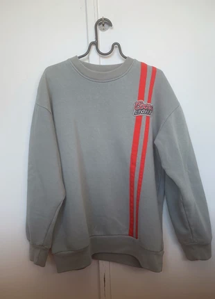 Pull Chase Authentics , merk: Chase Authentics, staat: Heel goed, maat: M, € 15,00, € 16,45 inclusief Kopersbescherming
