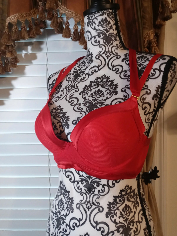 French affairs red bra 2