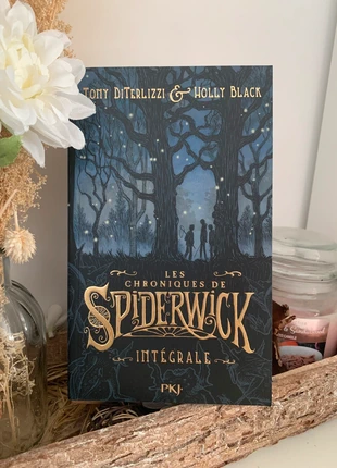 📚 Roman ado - Intégrale - Les chroniques de Spiderwick, zustand: Sehr gut, 6,00 €, 7,00 € inklusive Vinted-Käuferschutz