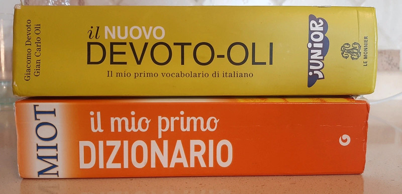 Dizionari