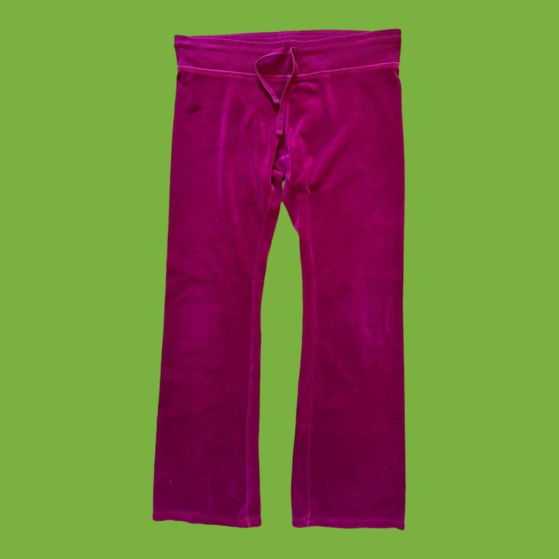 Express velour pant 1