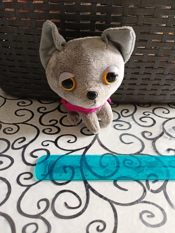 Petite peluche chat shop