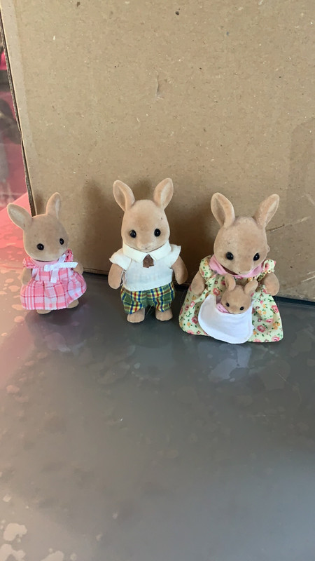 Famille Kangourou Sylvanian Families Au Complet Vinted