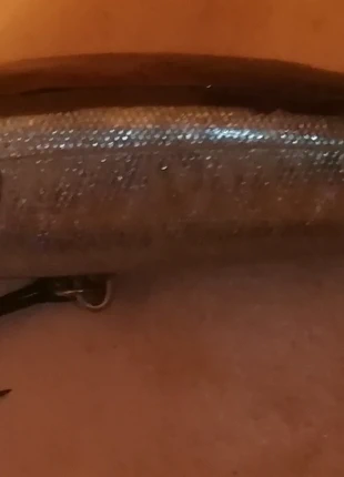 Gros leurre pêche Abu Garcia, brand: abu garcia, condition: Very good, €7.00, €8.05 includes Buyer Protection