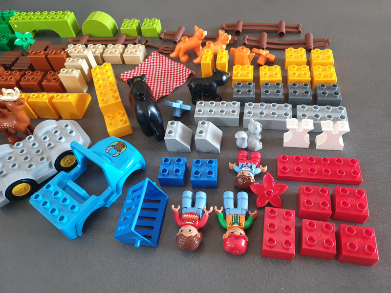 LEGO Duplo 10584 - Le Parc de la Forêt - De 2 ans à 5 ans
