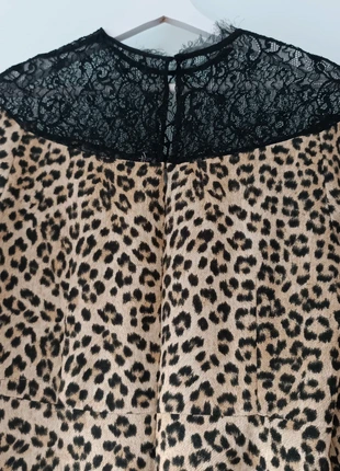 Robe Léopard Zara M – Col Dentelle., marque: Zara, état: Très bon état, taille: M / 38 / 10, 15,00 €, 16,45 € Protection acheteurs incluse