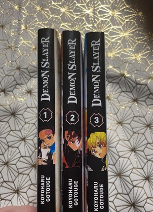 Lot manga demon slayer , zustand: Sehr gut, 13,00 €, 14,35 € inklusive Vinted-Käuferschutz