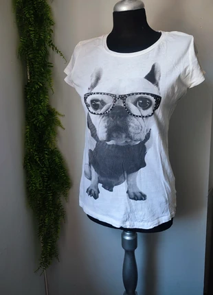 Camiseta perro gafas, marca: Local, estado: Muy bueno, tamaño: M / 38 / 10, 2,50 €, 3,33 € Protección al comprador incluida