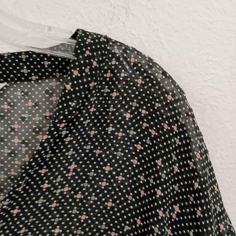 CAbi 239 Sheer Swiss Dot Blouse 4