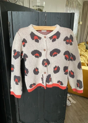 Vestje HEMA maat 98, marque: Hema, état: Bon état, taille: 3 ans / 98 cm, 3,00 €, 3,85 € Protection acheteurs incluse