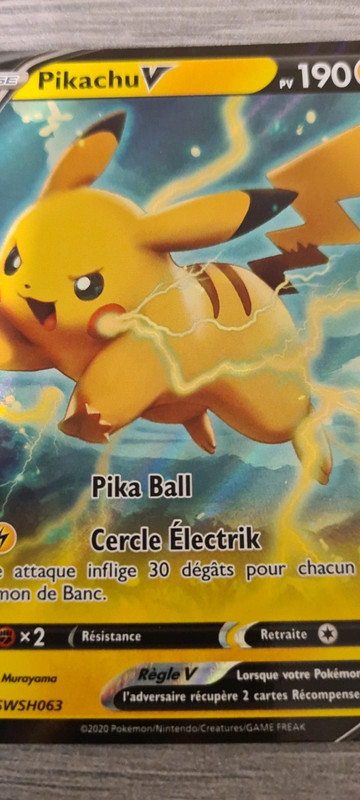 Porte Carte Pokémon Plein de Pika - Boutique Pokemon
