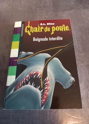 Livre chair de poule, staat: Heel goed, € 1,50, € 2,28 inclusief Kopersbescherming
