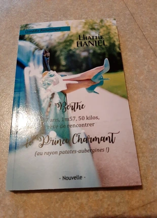 Livre New romance histoire légère pleine d humour, zustand: Zufriedenstellend, 4,50 €, 5,43 € inklusive Vinted-Käuferschutz