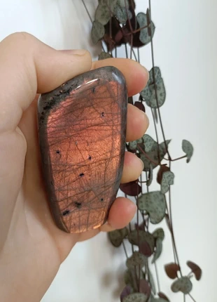 Labradorite orange, brand: labradorite, condizioni: Novità, €35.00, €37.45 include la Protezione acquisti