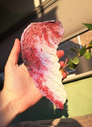 Two handmade angel wings, merk: Art, staat: Heel goed, € 7,95, € 9,05 inclusief Kopersbescherming