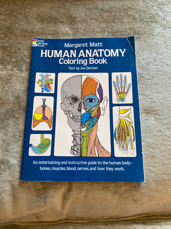 Human anatomy colouring book Biology Diagrams