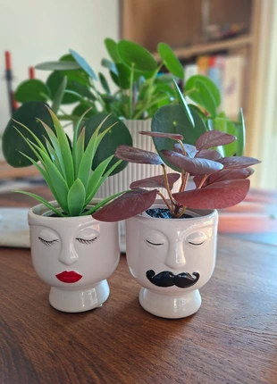 Pots fleurs monsieur madame aimantés, marque: OBI, état: Neuf avec étiquette, 8,00 €, 9,10 € Protection acheteurs incluse