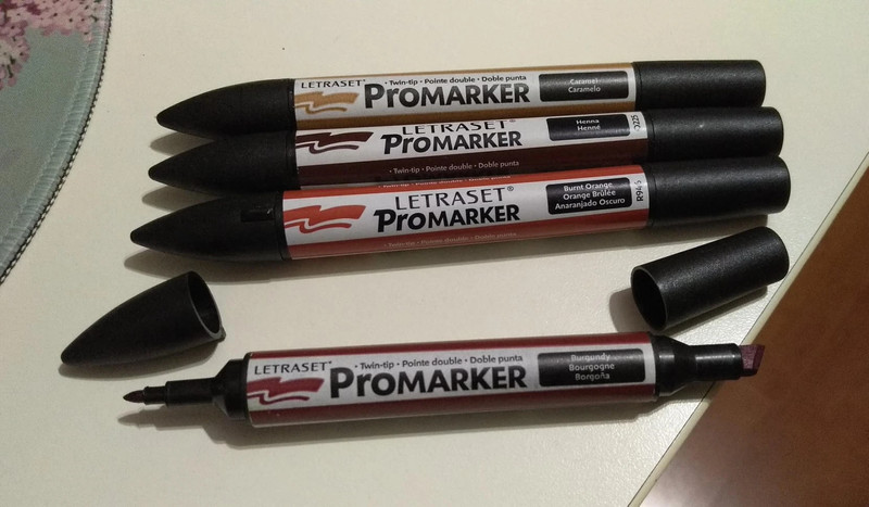 Promarker pennarelli doppia punta lotto.