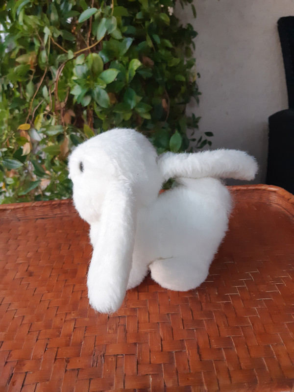 Peluche Bebe Lapin Blanc Vinted