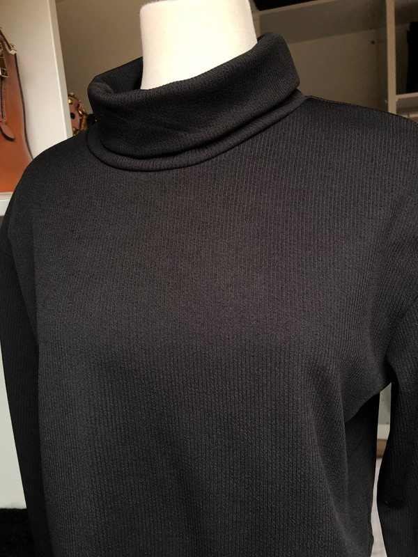 ruimte Overleving Resultaat Cropped coltrui sweater shein zwart - Vinted