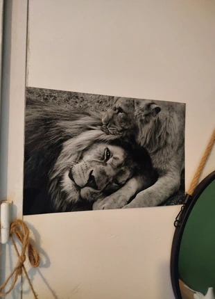 Affiche photo animalière lion en noir et blanc, super état, 20*30cm, décoration murale, état: Très bon état, 10,00 €, 11,20 € Protection acheteurs incluse