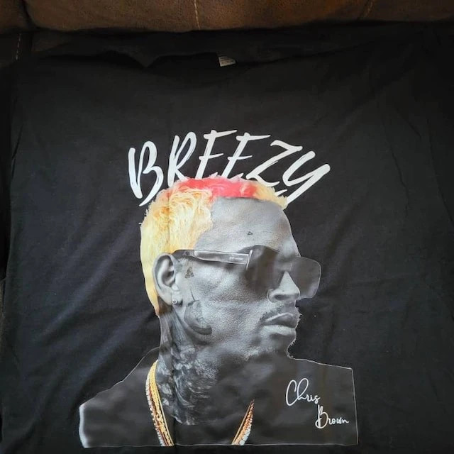 Chris Brown Shirt, Chris Brown 1111 Tour 2024 Shirt, Chris Brown Breezy Shirt