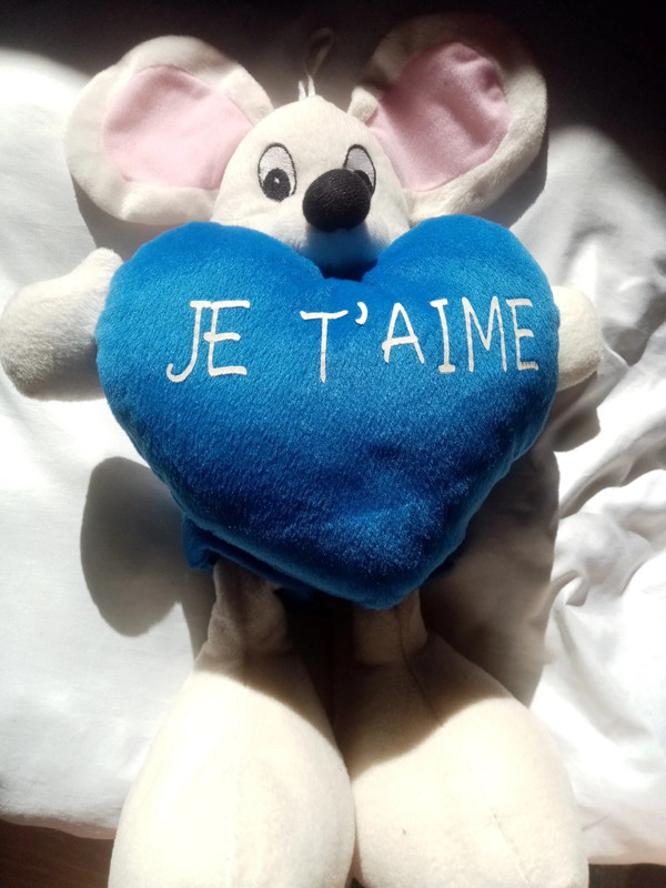 Peluche diddle je t'aime