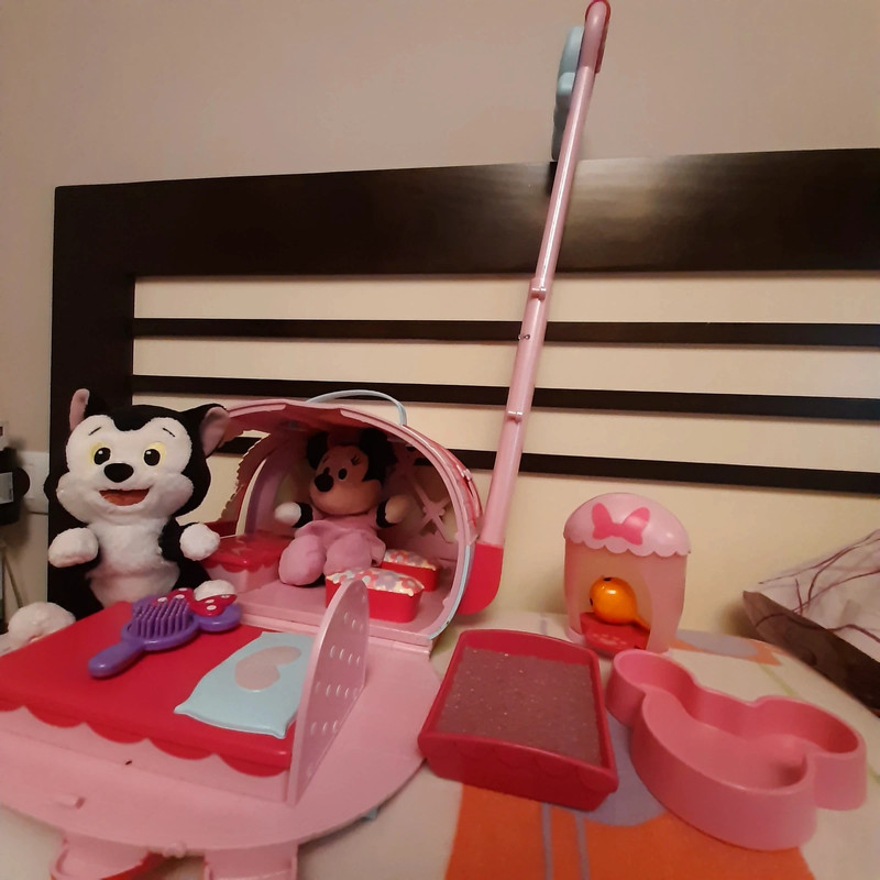 Carrito caravana Minnie mouse Vinted