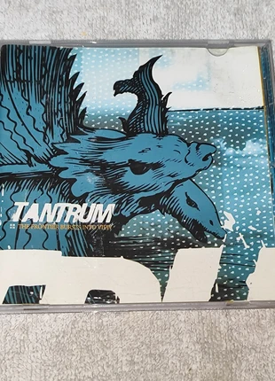 CD original Tantrum "The Frontier Bursts into View" (Reflections Records, 2002), état: Très bon état, 5,00 €, 5,95 € Protection acheteurs incluse
